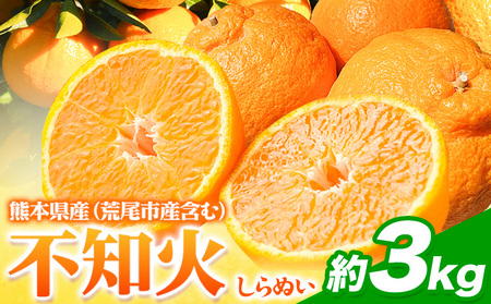 不知火 約3kg フレッシュフーズ [2月下旬-4月下旬頃出荷]熊本県産 (荒尾市産含む) 柑橘 フルーツ フレッシュフーズ 不知火 果物 デコポン と同品種 送料無料 果物 しらぬい 旬 オレンジ みかん