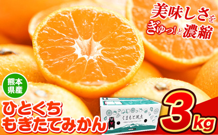 訳あり みかん ひとくちもぎたてみかん 約 3kg (3kg×1箱) S-3Sサイズ 訳あり ご家庭用 熊本県産 (荒尾市産含む) 期間限定 フルーツ 果物 旬 冬 柑橘 小玉 [12月中旬-12月末頃出荷] 美味しい 旬の ジューシー フルーツ