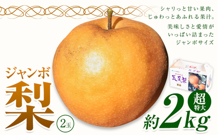 【2025年先行予約】 梨 なし 贈答用 荒尾ジャンボ梨（新高）2玉入り 約2kg 秋 旬 熊本県 荒尾市産 髙口果樹園《2025年10月上旬-10月下旬頃出荷》フルーツ 果物 ギフト 化粧箱 専用BOX付き 冷蔵 美味しい梨 旬の梨 ジューシー梨 フルーツ梨