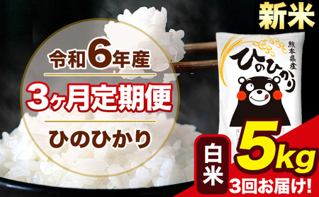 令和6年産 新米 [3ヶ月定期便] ひのひかり 白米 5kg 5kg×1袋 計3回お届け 熊本県産 こめ コメ 白米 精米 荒尾市 ひの 米 定期 [お申込み月の翌月から出荷開始]