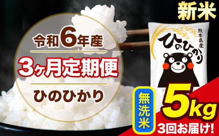 令和6年産 新米 [3ヶ月定期便] ひのひかり 無洗米 5kg 5kg×1袋 計3回お届け 熊本県産 こめ コメ 白米 精米 荒尾市 ひの 米 定期 [お申込み月の翌月から出荷開始]