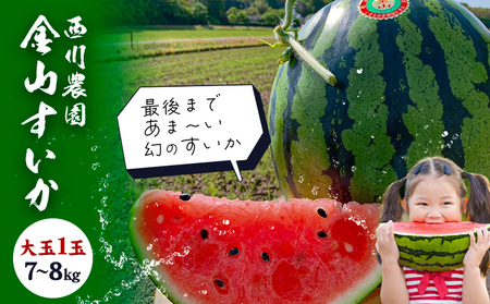 金山すいか 大玉 1玉 西川農園[5月上旬-5月中旬頃出荷]熊本県 荒尾市 スイカ すいか 西瓜 フルーツ 果物 大玉すいか 幻のすいか 1番すいか