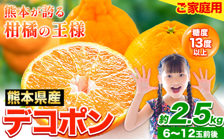 先行予約 デコポン 2.5kg 訳あり デコポン ご家庭用 約 2.5kg 前後(約6-12玉前後) 糖度13度以上 個別光センサー選果 みかん 柑橘 フルーツ 旬 不知火 でこぽん[2026年2月上旬-4月末頃出荷]生産量日本一熊本県産(荒尾市産含む) 柑橘 フルーツ 旬 不知火 でこぽん