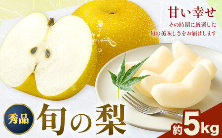おまかせ梨 秀品 約5kg 日本フルーツ株式会社《8月上旬-10月末頃出荷》熊本県 荒尾市 なし 梨 果物 フルーツ デザート ギフト ご贈答
