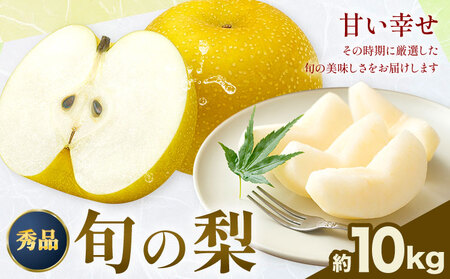 おまかせ梨 秀品 約10kg 日本フルーツ株式会社《8月上旬-10月末頃出荷》熊本県 荒尾市 なし 梨 果物 フルーツ デザート ギフト ご贈答