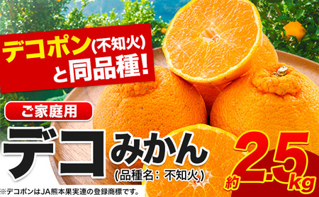 不知火 デコみかん ( デコポン と同品種 ) ご家庭用 訳あり 熊本県産 ( 荒尾市産含む ) 約2.5kg(12-24玉前後) 柑橘 [2026年2月上旬-4月末頃出荷] みかん フルーツ 不知火 訳アリ でこみかん 果物 5kg