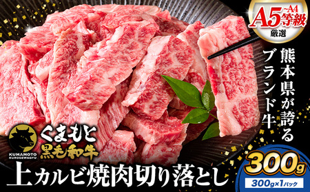 牛肉くまもと黒毛和牛 上 カルビ 焼肉 切り落とし 300g [30日以内に出荷予定(土日祝除く)]熊本県 荒尾市 上カルビ 焼肉用 黒毛和牛 焼肉 肉 お肉 和牛 A5 A4 300g 小分け