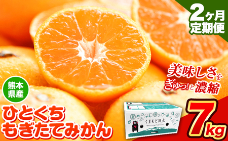 [先行予約][2か月定期便]訳あり みかん ひとくちもぎたてみかん 約 7kg (7kg×1箱) S-3Sサイズ 訳あり ご家庭用 熊本県産 (荒尾市産含む) 期間限定 フルーツ 果物 旬 冬 柑橘 小玉 [10月上旬-11月末頃出荷]