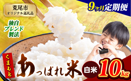 y9ցzF{Y ܂Ƃς  uh 10kg F{Y ӂ邳Ɣ[     ӂ邳Ƃ̂ R  ߁s1o׊Jnt