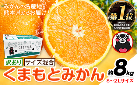 �݂��� �󂠂� ���܂��Ƃ݂��� ��8kg S-2L�T�C�Y �T�C�Y���� ���ƒ�p�s7-14�c�Ɠ��ȓ��ɏo�ח\��(�y���j����)�t �t���[�c �T�C�Y���� �H �{ ���k ���� ���� ��� �F�{�� �r���s �F�{���Y �r��