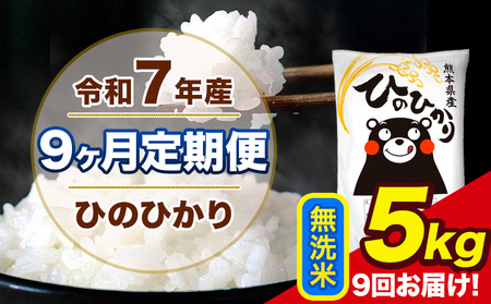 �V�� �ߘa7�N�Y �y9��������ցz �Ђ̂Ђ��� ������ 5kg 5kg×1�� �v9�񂨓͂� �F�{���Y ���� �R�� ���� �r���s �Ђ� �� ��� �s���\���ݗ�������o�ׁt