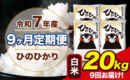 �V�� �ߘa7�N�Y �y9��������ցz �Ђ̂Ђ��� ���� 20kg 5kg×4�� �v9�񂨓͂� �F�{���Y ���� �R�� ���� �r���s �Ђ� �� ��� �s���\���ݗ�������o�ׁt