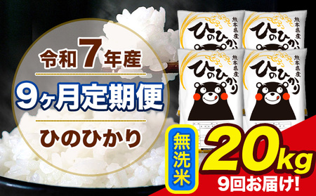 �V�� �ߘa7�N�Y �y9��������ցz �Ђ̂Ђ��� ������ 20kg 5kg×4�� �v9�񂨓͂� �F�{���Y ���� �R�� ���� �r���s �Ђ� �� ��� �s���\���ݗ�������o�ׁt