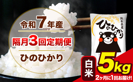 �V�� �ߘa7�N�Y �y�u��3�����ցz�y2������1��͂��z �Ђ̂Ђ��� ���� 5kg 5kg×1��  �v3�񂨓͂��F�{���Y ���� �R�� ���� �r���s �Ђ� �� ��� �s���\���ݗ�������o�ׁt