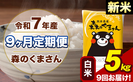 y9ցzߘa7NY V X̂܂  5kg 5kg×1 v9񂨓͂s\ݗoׁt  F{Y  ~