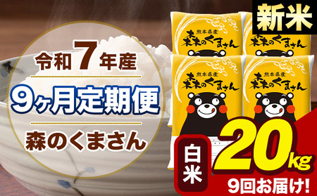 y9ցzߘa7NY V X̂܂  20kg 5kg×4 v9񂨓͂s\ݗoׁt  F{Y  ~