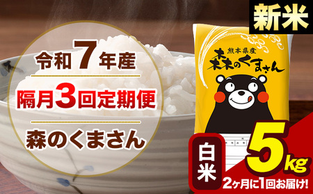 yu3ցzy21͂zߘa7NY V X̂܂  5kg 5kg×1 v3񂨓͂s\ݗoׁt  F{Y  ~