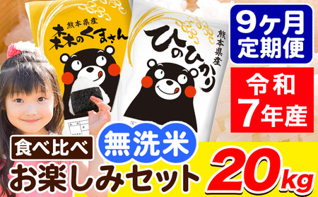 �ߘa7�N�Y �V�� �����āy9��������ցz�Ђ̂Ђ��� �X�̂��܂��� 2�� �H�ה�� 20kg (5kg × 4��) �v9�񂨓͂� ������ �F�{���Y �P�ꌴ���� �Ђ� �X���� �F�{�� �r���s�s���\���ݗ�������o�ׁt