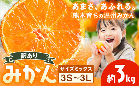 訳あり 温州みかん サイズミックス 3S 〜 3L 約3kg 日本フルーツ株式会社[10月中旬-2月下旬頃出荷予定]熊本県 荒尾市 みかん 温州みかん ミカン 蜜柑 柑橘類 訳あり ご家庭用 サイズ不揃い 果物 フルーツ