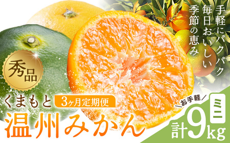秀品 温州みかん 3ヶ月 定期便 ミニ 計9kg 日本フルーツ株式会社[10月上旬-12月末頃出荷]熊本県 荒尾市 みかん 温州みかん ミカン 蜜柑 柑橘類 極早生 早生 中生 果物 フルーツ