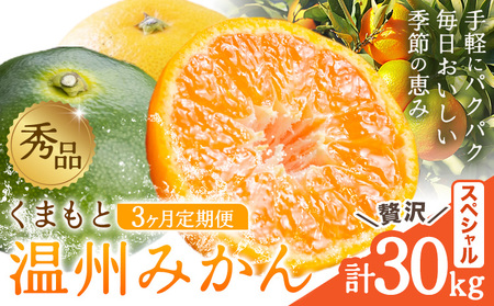 秀品 温州みかん 3ヶ月 定期便 スペシャル 計30kg 日本フルーツ株式会社[10月上旬-12月末頃出荷]熊本県 荒尾市 みかん 温州みかん ミカン 蜜柑 柑橘類 極早生 早生 中生 果物 フルーツ