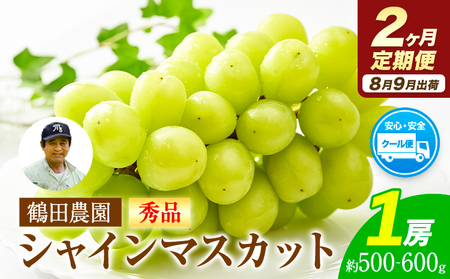 [2ヶ月定期便][秀品]先行予約 シャインマスカット 約500-600g (1房) /月×2回 フルーツ 果物 送料無料 葡萄 ぶどう マスカット 鶴田農園 熊本県荒尾市産[8月下旬-9月下旬頃出荷] 美味しいシャインマスカット 旬の ジューシー フルーツ