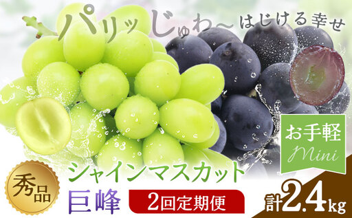 [2回定期便]秀品 シャインマスカット 巨峰 計2.4kg 日本フルーツ株式会社[8月上旬-8月末頃出荷]熊本県 荒尾市 シャインマスカット 巨峰 ぶどう 果物 フルーツ 定期便 ギフト 購答用 人気 おすすめ
