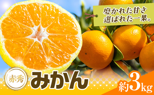 先行予約 赤秀 みかん 旬 柑橘 蜜柑 鶴田農園 約3kg [9月中旬-1月下旬頃出荷]極早生 早生 中生 晩生 フルーツ 果物 秋 旬 熊本県 荒尾市産 贈答 ギフト オレンジ 人気 おすすめ