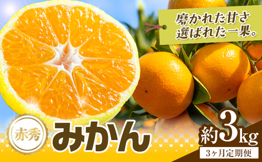 [3か月定期便] 先行予約 赤秀 みかん 旬 柑橘 蜜柑 鶴田農園 約3kg×3回 [11月上旬-1月下旬頃出荷]極早生 早生 中生 晩生 フルーツ 果物 秋 旬 熊本県 荒尾市産 贈答 ギフト オレンジ 人気 おすすめ