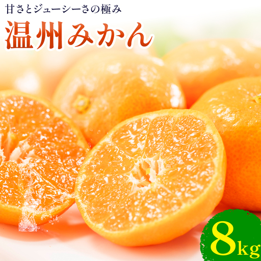 温州みかん 約8kg 日本フルーツ株式会社 熊本県 荒尾市 《10月中旬-2月中旬頃出荷》 デコポン 果物 フルーツ スイーツ デザート