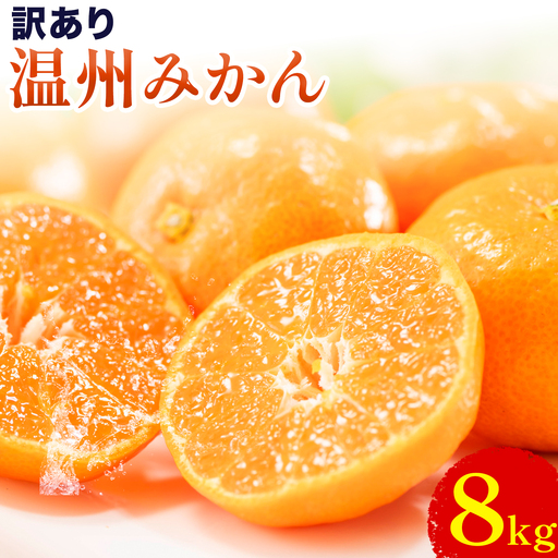 訳あり 温州みかん 約8kg 日本フルーツ株式会社 熊本県 荒尾市 《10月中旬-2月中旬頃出荷》 デコポン 果物 フルーツ スイーツ デザート