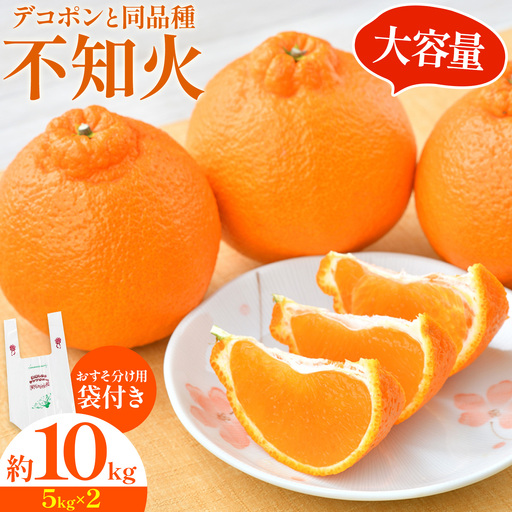 不知火 10kg 日本フルーツ株式会社 熊本県 荒尾市 [2月上旬-4月上旬頃出荷] デコポン 果物 フルーツ スイーツ デザート ギフト ご贈答 しらぬい
