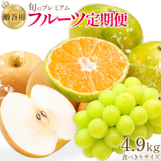 旬の プレミアム フルーツ 定期便 3ヶ月連続 秀品 ミニ 計4.9kg 日本フルーツ株式会社[8月上旬-10月末頃出荷]熊本県 荒尾市 シャインマスカット おまかせ 梨 極早生みかん 果物 フルーツ スイーツ デザート ギフト ご贈答