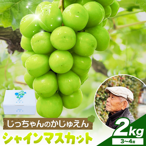 シャインマスカット 2kg じっちゃんのかじゅえん[8月上旬-9月下旬頃出荷]