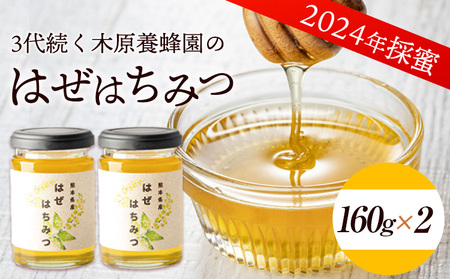 はぜはちみつ 160g×2個 320g 蜂蜜 国産 熊本県荒尾市産 純粋蜂蜜 木原養蜂園[30日以内に出荷予定(土日祝除く)]