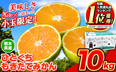 みかん・レモン・柑橘類の人気返礼品ランキング（週間） | ふるさと ...