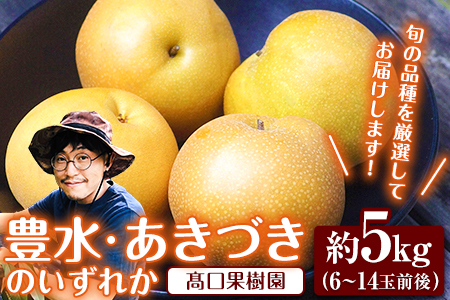 [先行予約]旬の梨 あきづき 豊水 のいずれかをお届けします! 約5kg (6〜14玉前後) 熊本県荒尾市産 高口果樹園[8月下旬-10月中旬頃出荷]フルーツ 果物 2024年出荷