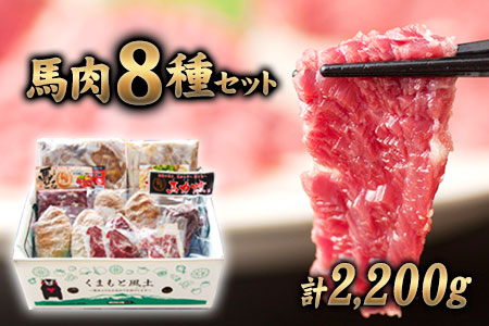 純国産馬肉8種セット 計2200g 熊本肥育 2年連続農林水産大臣賞受賞 送料無料 馬刺し 馬肉 馬スジ ホルモン 燻製 霜降り ハンバーグ 熊本県荒尾市[60日以内に出荷予定(土日祝除く)] 美味しい馬刺し 熊本 くまもと 特産