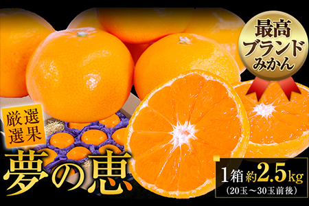 夢の恵 みかん 約2.5kg(20玉〜30玉前後) 熊本県産 (荒尾市産含む) 糖度12度以上 ブランドみかん ブランド 贈答用 贈り物[11月中旬-12月下旬頃出荷] 熊本県 荒尾市