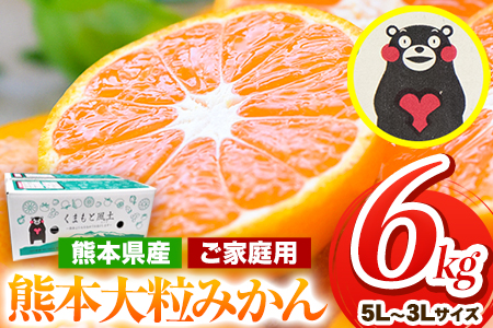 訳あり 大粒みかん 6kg 熊本県産 大玉みかん 訳あり 傷 5L〜3Lサイズ [2025年1月中旬-2月末頃より出荷予定] たっぷり 熊本 熊本県産 (荒尾市産含む) 熊本県 期間限定 フルーツ 旬の 柑橘 ご家庭用 荒尾市 大粒 果物