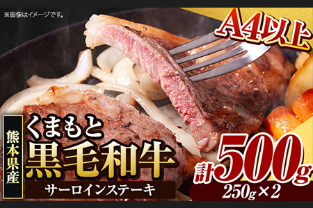 くまもと黒毛和牛 サーロインステーキ 500g ( 250g x 2枚 ) 牛肉 冷凍 [30日以内に出荷予定(土日祝除く)] くまもと黒毛和牛 黒毛和牛 冷凍庫 個別 取分け 小分け 個包装 ステーキ肉 にも サーロインステーキ