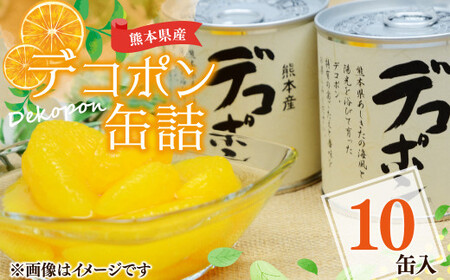 [熊本県産] デコポン 缶詰 295g×10缶 果物 柑橘 フルーツ