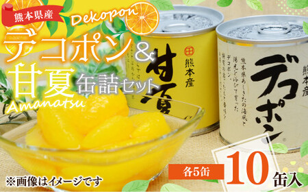 [熊本県産]デコポン 甘夏 缶詰 セット 10缶入 (各5缶) 果物 柑橘 フルーツ