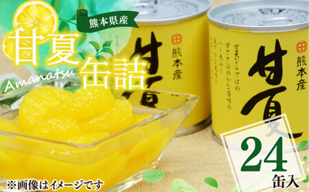 yF{Yz É ʋl 295g×24 ʕ k t[c