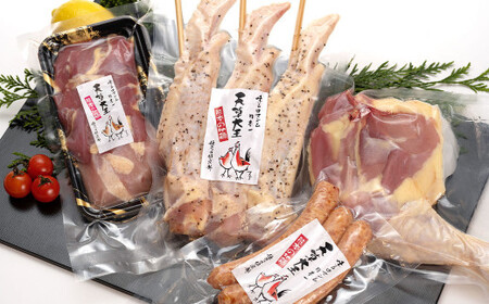 [アウトドアセット] 天草大王 幻の鶏 キャンプ BBQ 骨付きもも肉 (500g) 大手羽先 ソーセージ ブツ切りミックス 計約 1.1kg