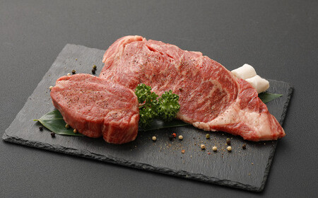 [定期便10か月] 熊本産 ステーキ 用 あか牛 定期便 10か月コース