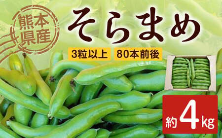 熊本県産 そらまめ 約4kg 3粒以上 80本前後 野菜 豆類 そら豆 [2025年4月上旬‐4月下旬迄発送予定]