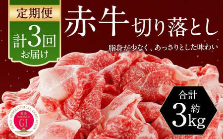 [3ヶ月定期便] 赤牛 切り落とし 1kg (500g×2パック)×3回 牛肉 お肉 定期