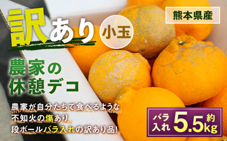 農家の休憩デコ 訳あり 小玉 約5.5kg [2025年2月下旬〜6月下旬発送]