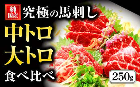 国産 熊本 馬刺し 霜降り中トロ・大トロ食べ比べセット 計250g